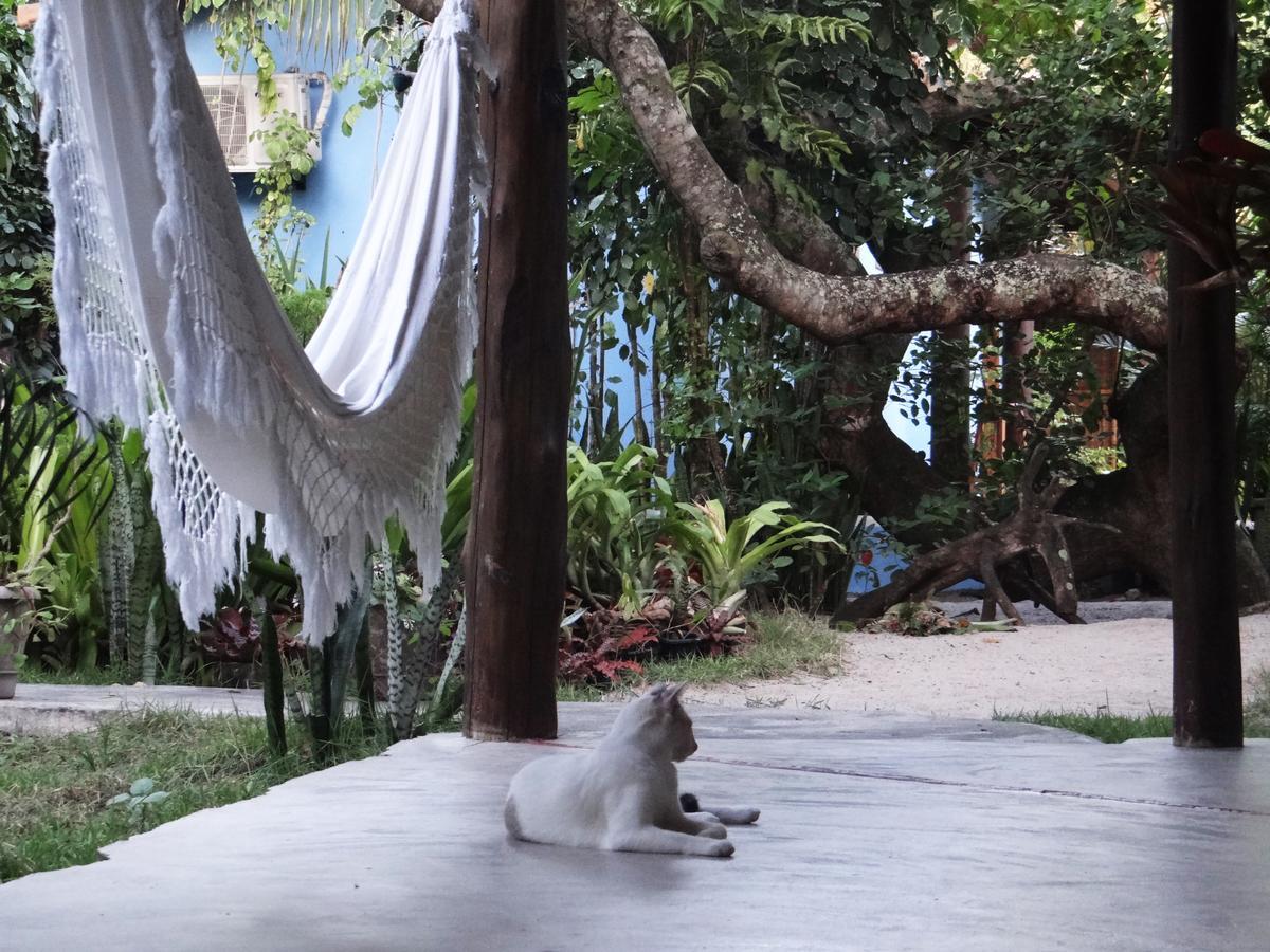 Canto Do Sabia Caraiva Bagian luar foto